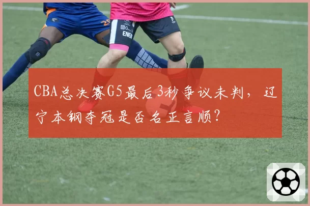 CBA总决赛G5最后3秒争议未判,辽宁本钢夺冠是否名正言顺?
